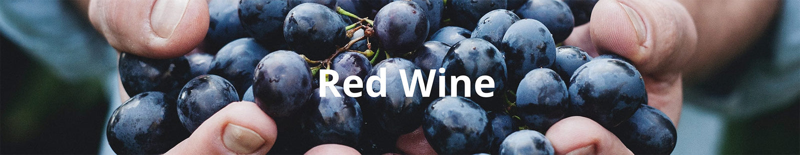 Red Wine