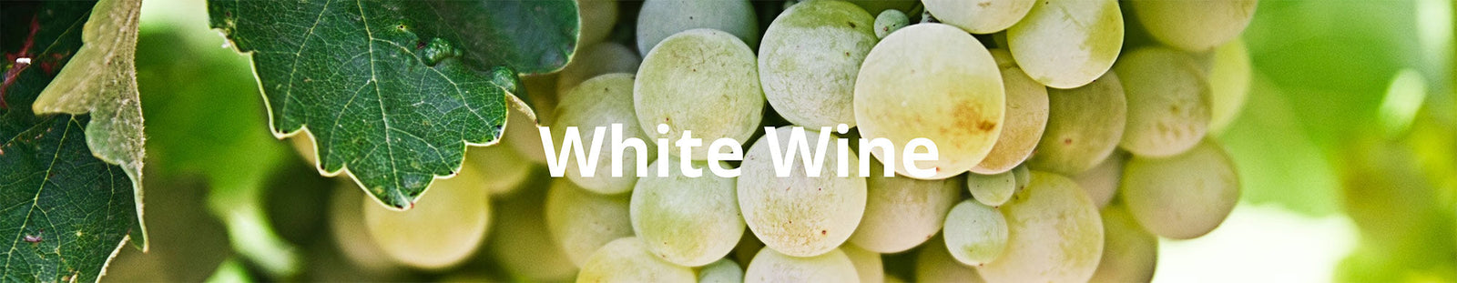 White Wine