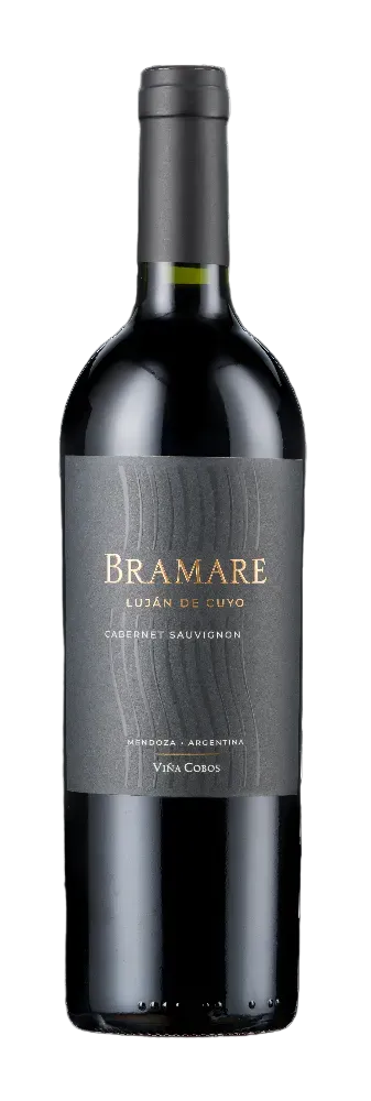 2019 Vina Cobos Bramare Cabernet Sauvignon Lujan de Cuyo