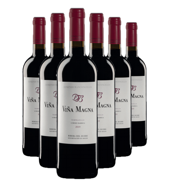 2019_Dominio_Basconcillos_Vina_Magna_6_Meses_Barrica_case.png