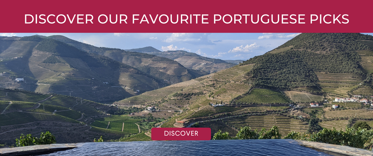 The Vineking Explore Great Wines Without the Nonsense