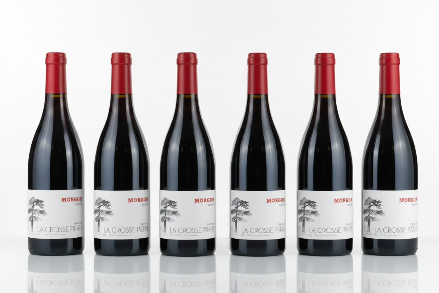 2021 Domaine de la Grosse Pierre Morgon "Douby" - Special 6 Pack Deal
