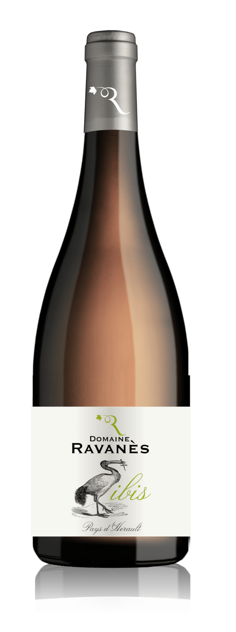 2023_Ravanes_L_Ibis_Blanc.jpg