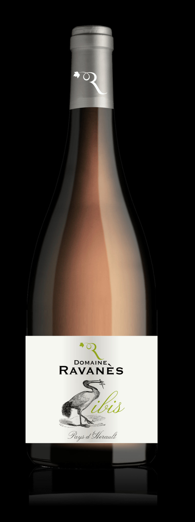 2023_Ravanes_L_Ibis_Blanc.jpg
