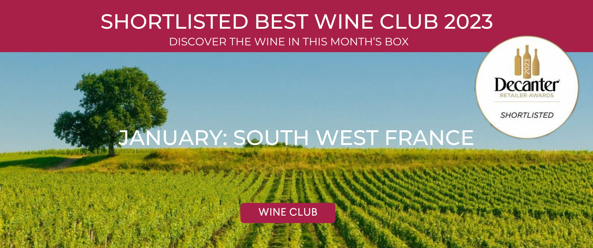 The Vineking Explore Great Wines Without the Nonsense