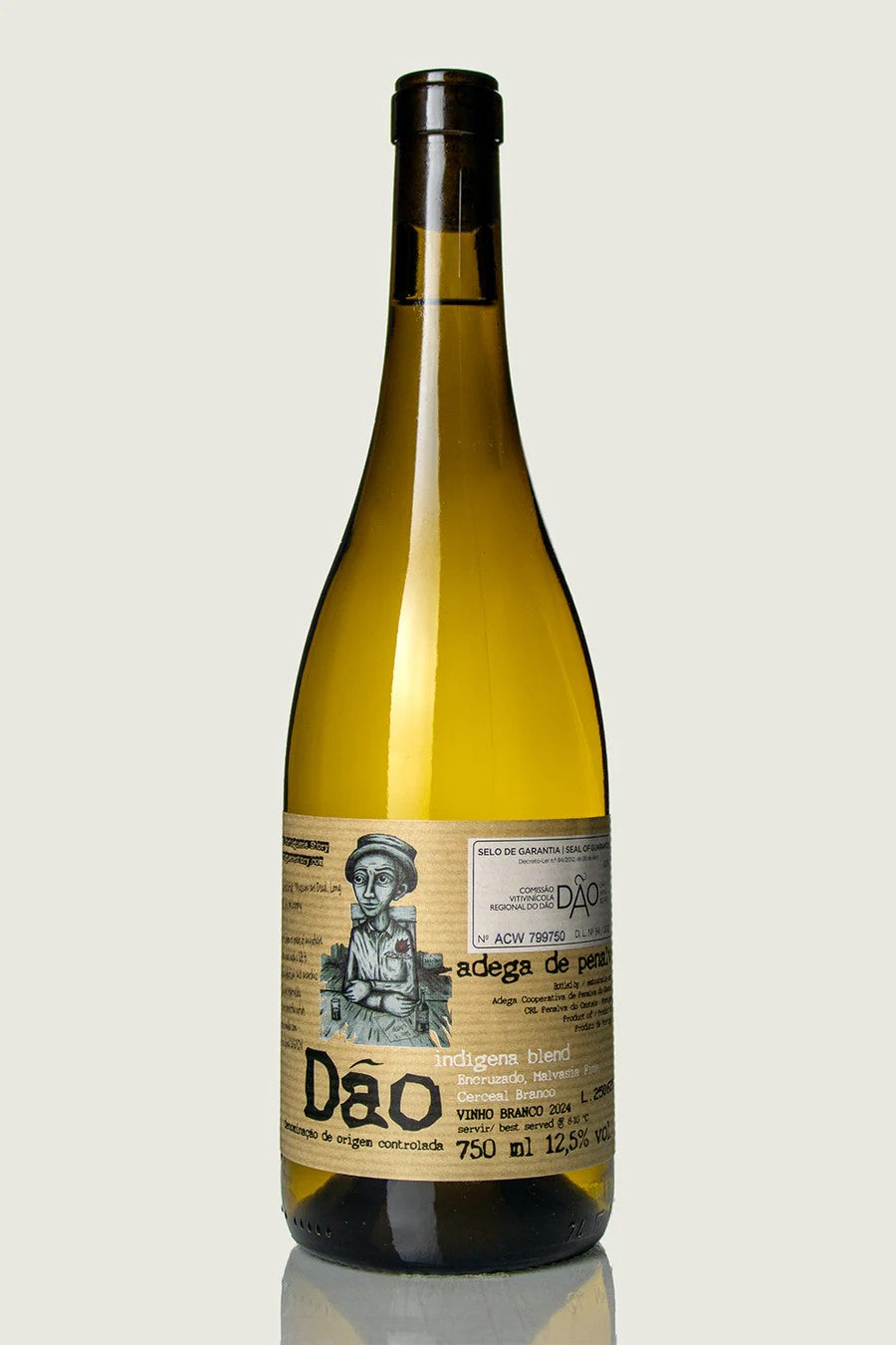 AdegadePenalva_Indigena_WhiteBlend2024.jpeg