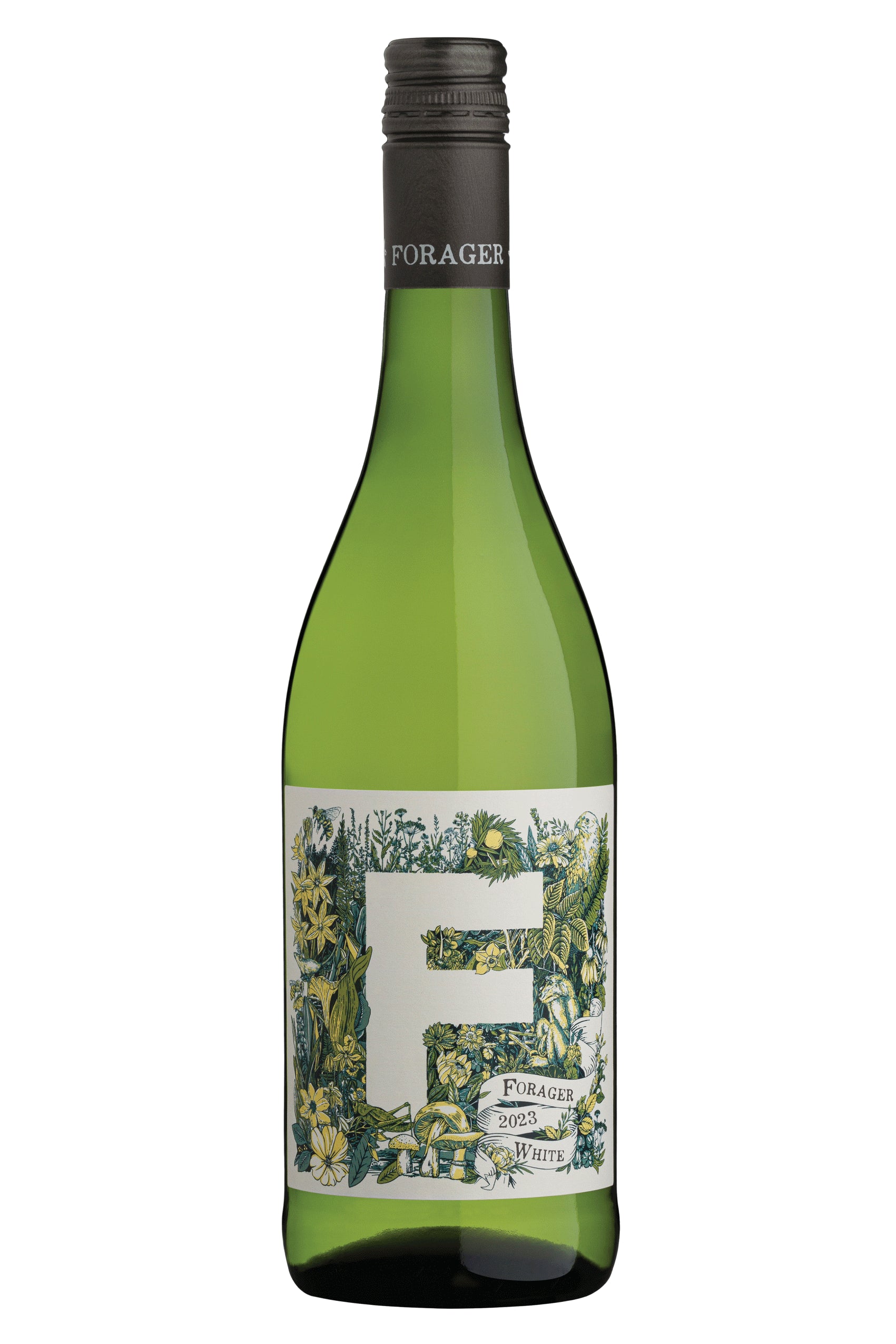 2024 Forager White