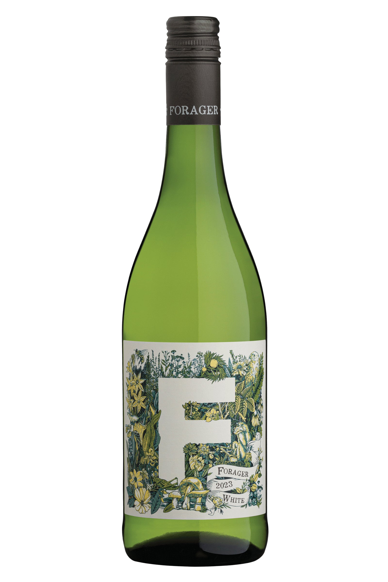 2024 Forager White