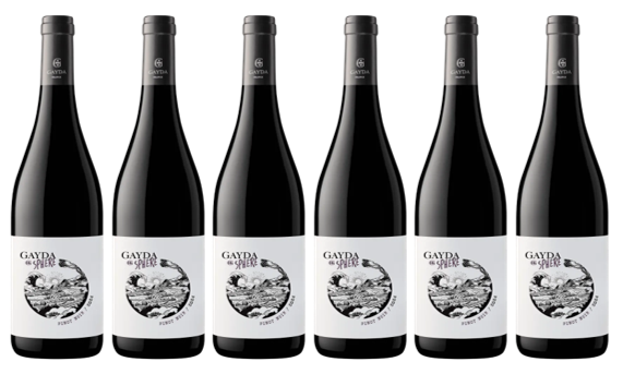 2024 Gayda Sphere Pinot Noir - Special 6 Pack Deal
