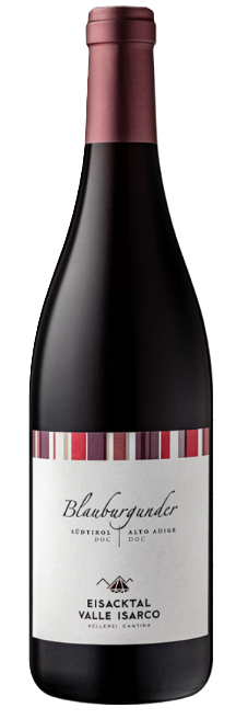 2024 Valle Isarco Pinot Nero