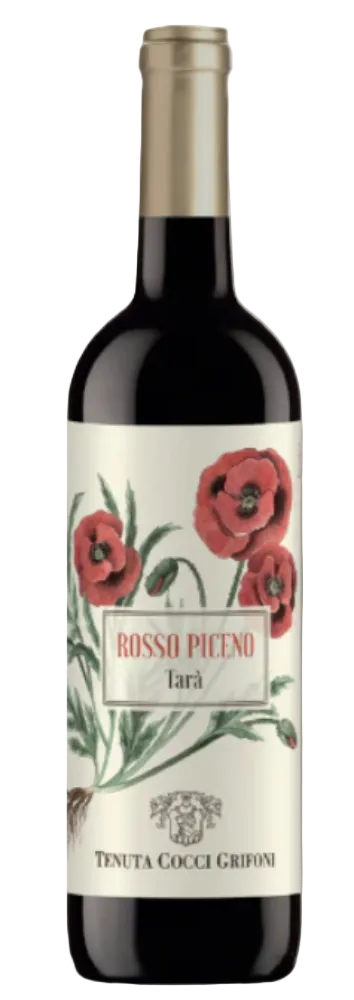 2022 Tenuta Cocci Grifoni Rosso Piceno Tara