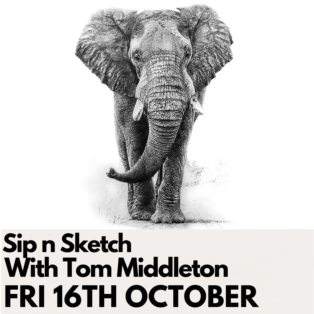 Sip 'n Sketch With Tom Middleton - Friday 16th October 2026