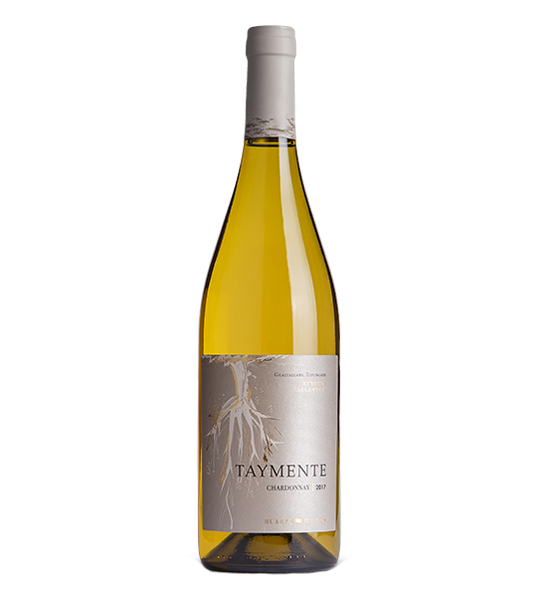 2019TaymenteChardonnayBodegasRiglosMendoza.png