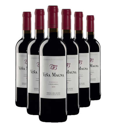 2019_Dominio_Basconcillos_Vina_Magna_6_Meses_Barrica_case.png