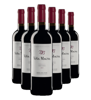 2019_Dominio_Basconcillos_Vina_Magna_6_Meses_Barrica_case.png